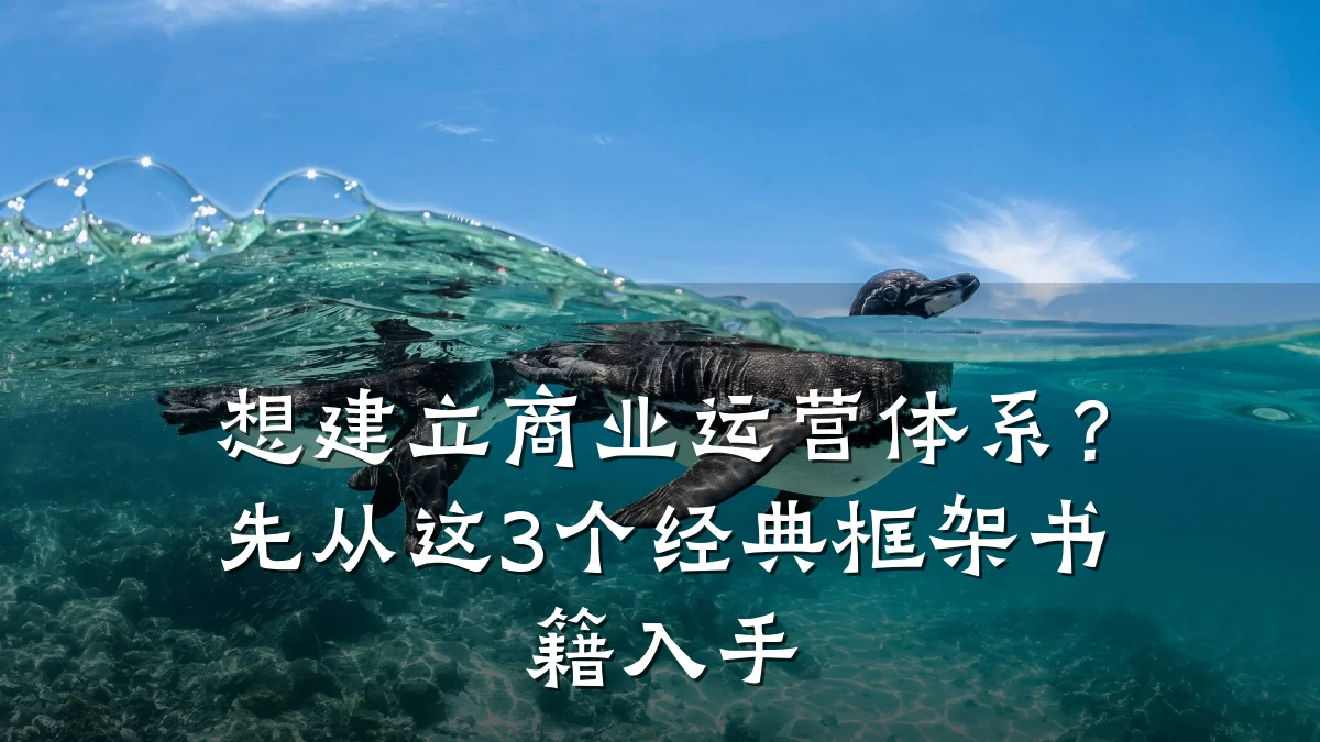 想建立商业运营体系?先从这3个经典框架书籍入手