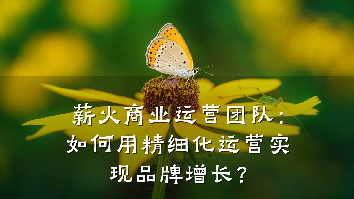 薪火商业运营团队:如何用精细化运营实现品牌增长?