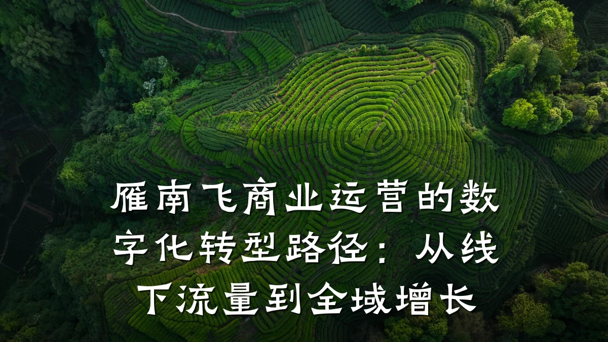 雁南飞商业运营的数字化转型路径:从线下流量到全域增长