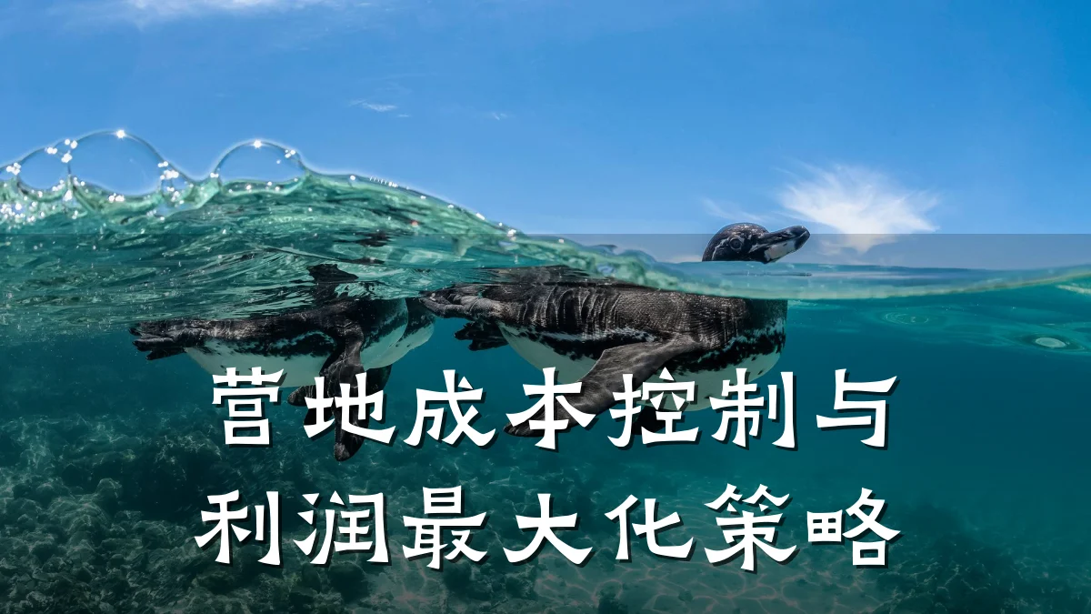营地成本控制与利润最大化策略