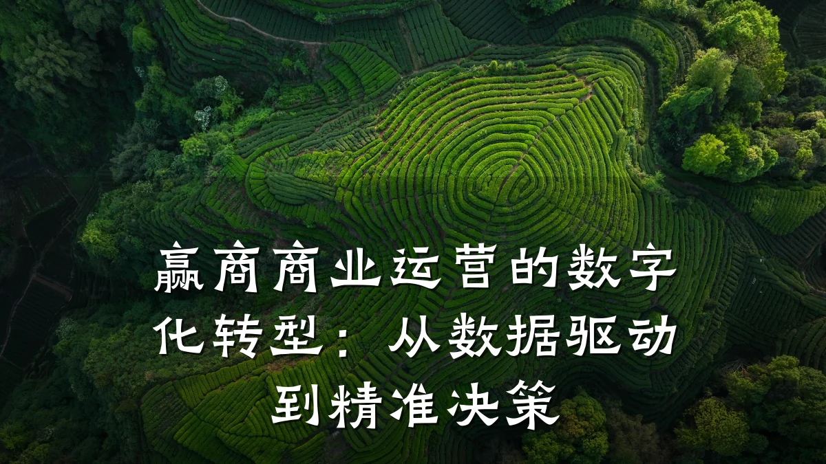 赢商商业运营的数字化转型:从数据驱动到精准决策