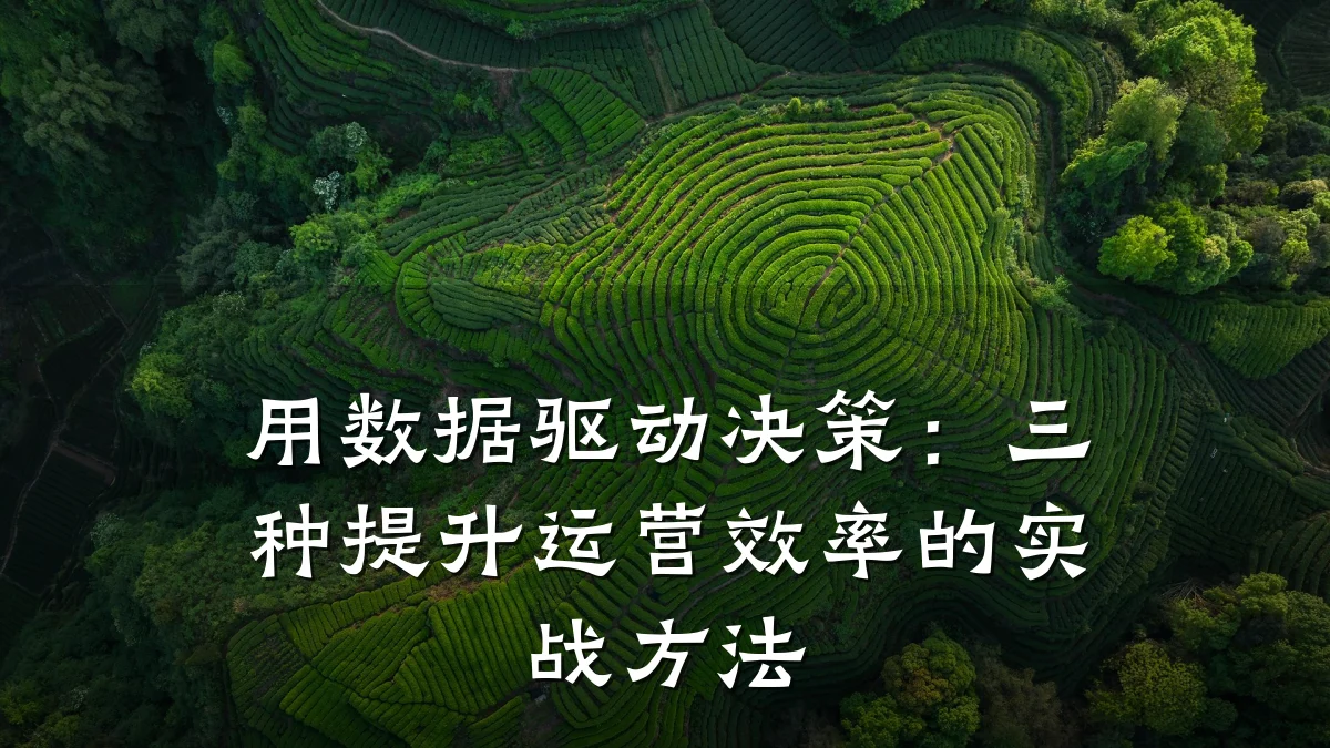 用数据驱动决策:三种提升运营效率的实战方法