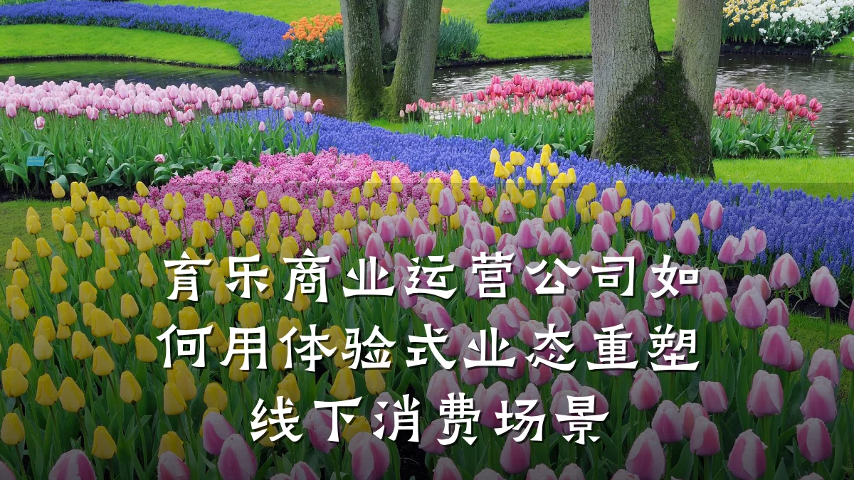 育乐商业运营公司如何用体验式业态重塑线下消费场景