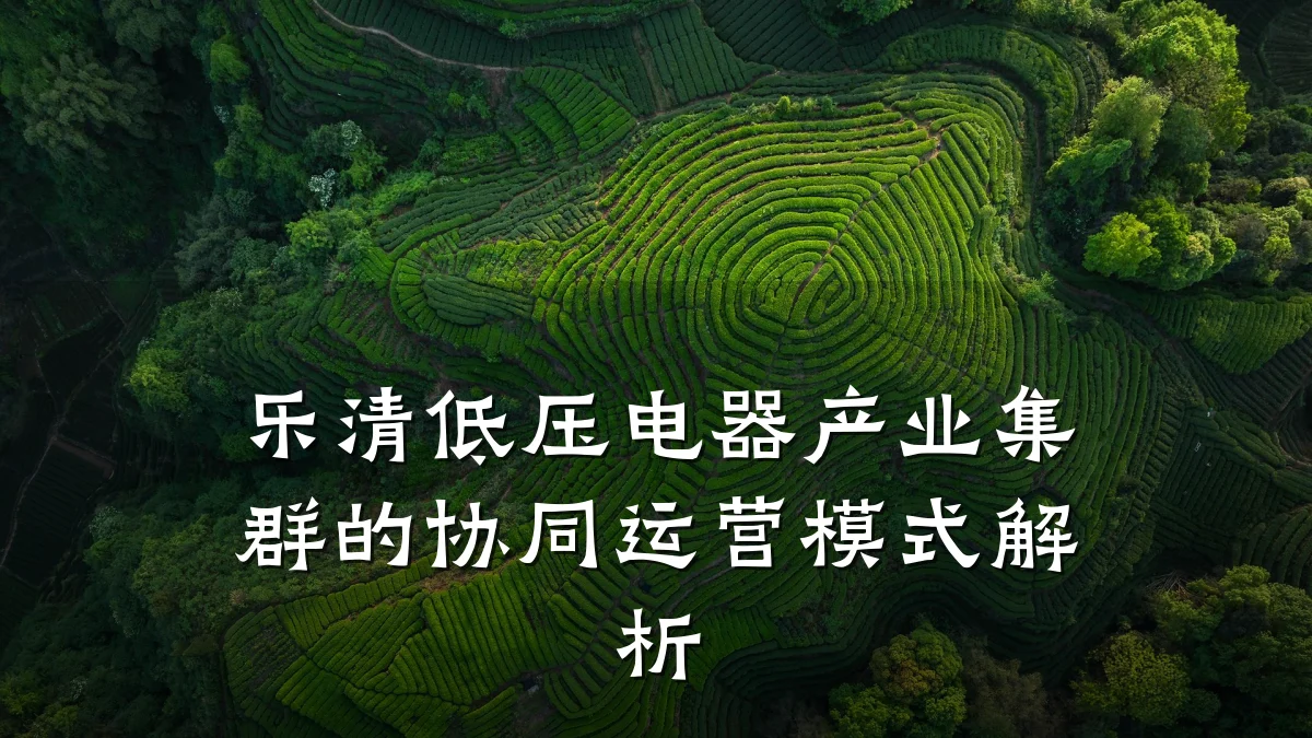乐清低压电器产业集群的协同运营模式解析
