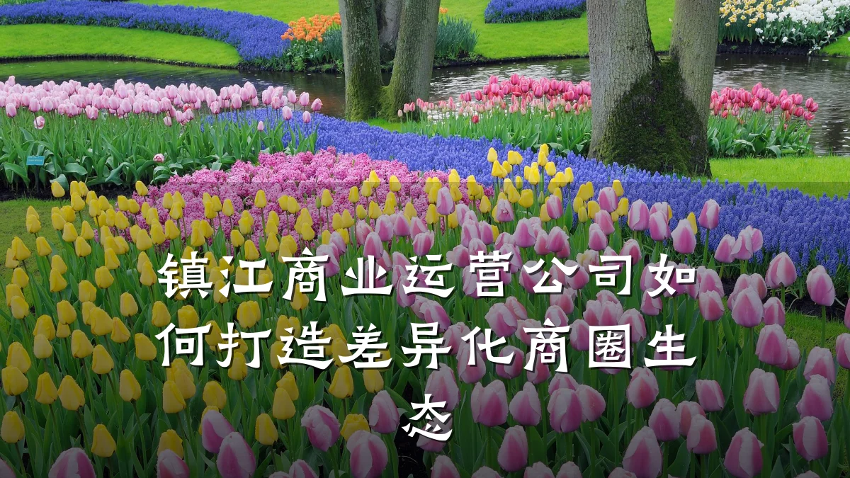 镇江商业运营公司如何打造差异化商圈生态