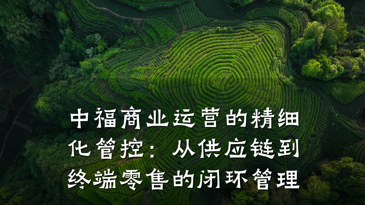 中福商业运营的精细化管控:从供应链到终端零售的闭环管理