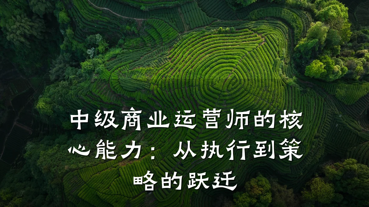 中级商业运营师的核心能力:从执行到策略的跃迁