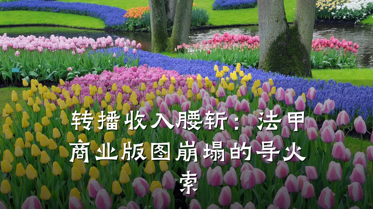 转播收入腰斩:法甲商业版图崩塌的导火索