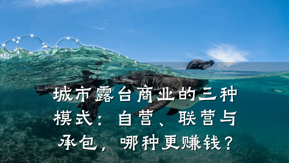 城市露台商业的三种模式:自营、联营与承包,哪种更赚钱?