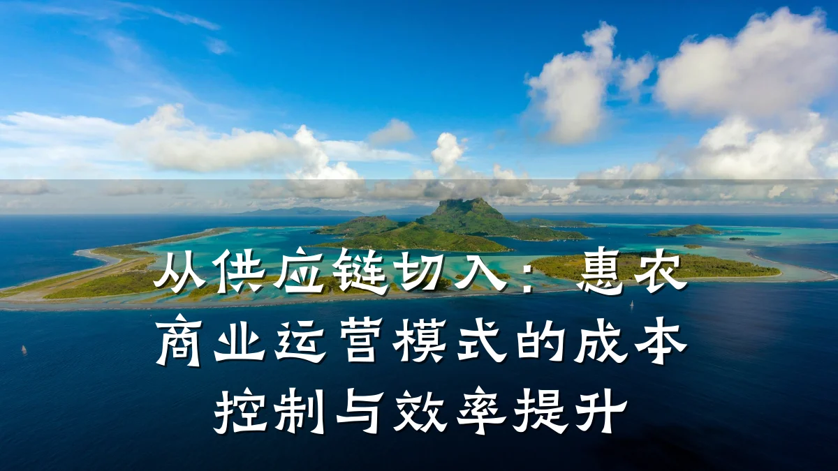 从供应链切入:惠农商业运营模式的成本控制与效率提升