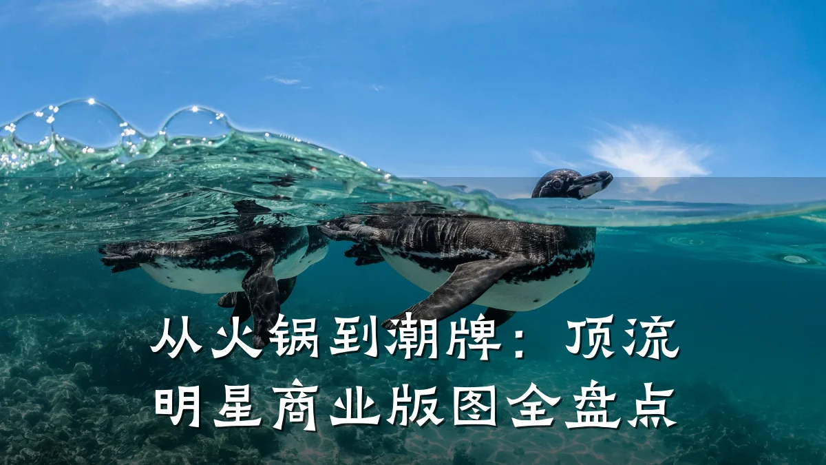 从火锅到潮牌:顶流明星商业版图全盘点