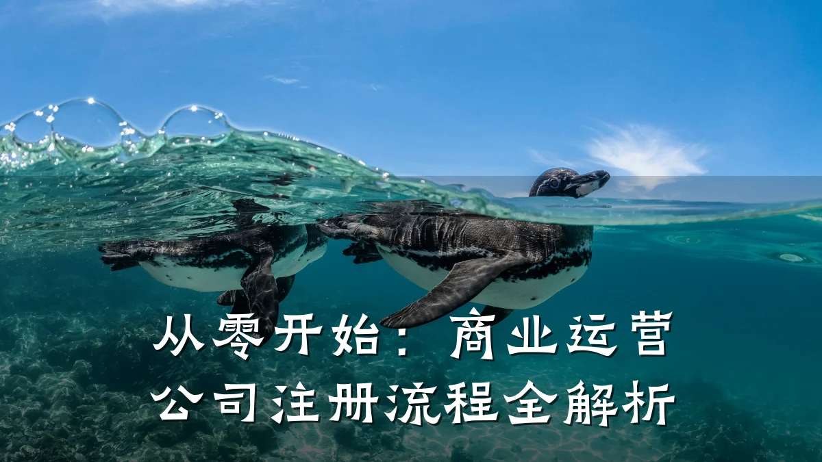 从零开始:商业运营公司注册流程全解析