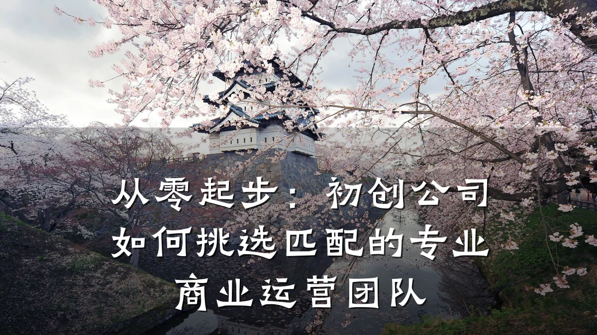 从零起步:初创公司如何挑选匹配的专业商业运营团队