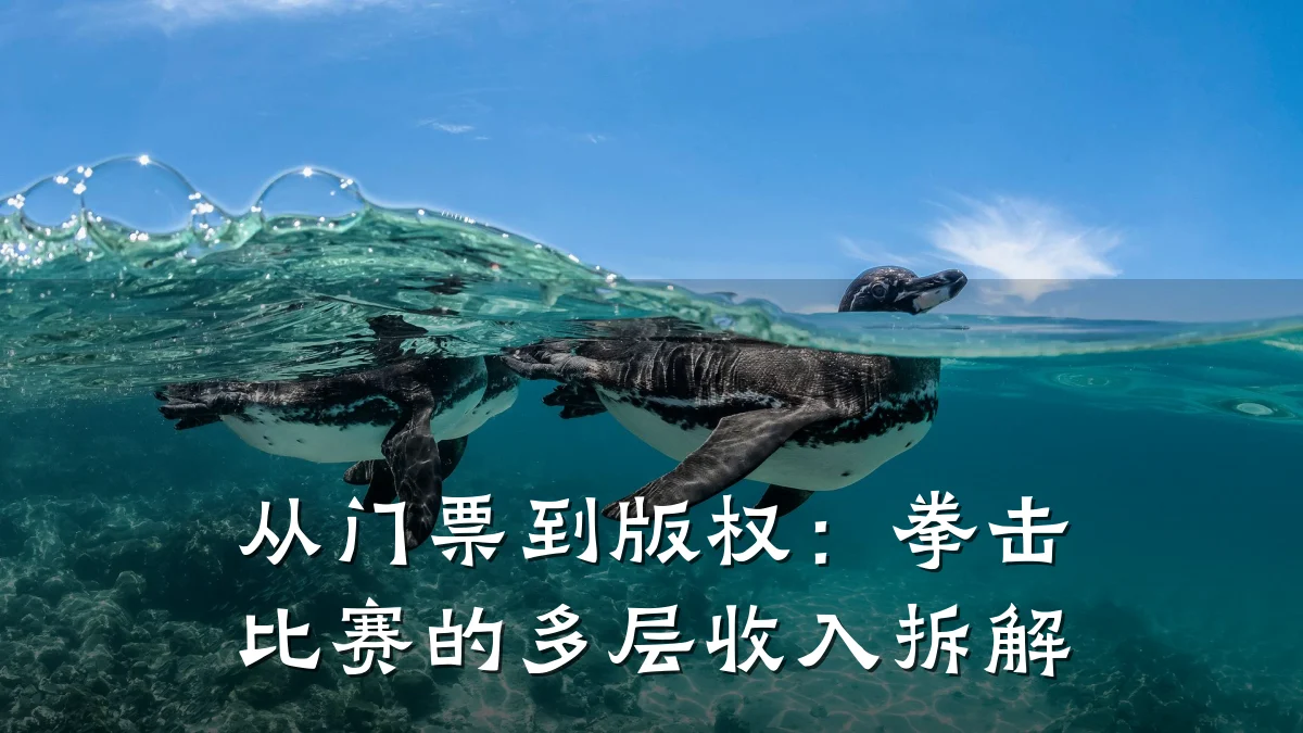从门票到版权:拳击比赛的多层收入拆解