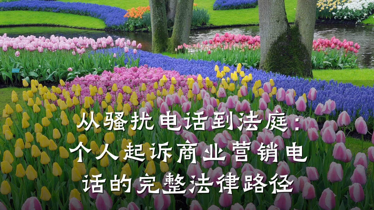 从骚扰电话到法庭:个人起诉商业营销电话的完整法律路径