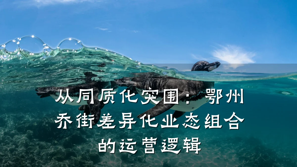 从同质化突围:鄂州乔街差异化业态组合的运营逻辑