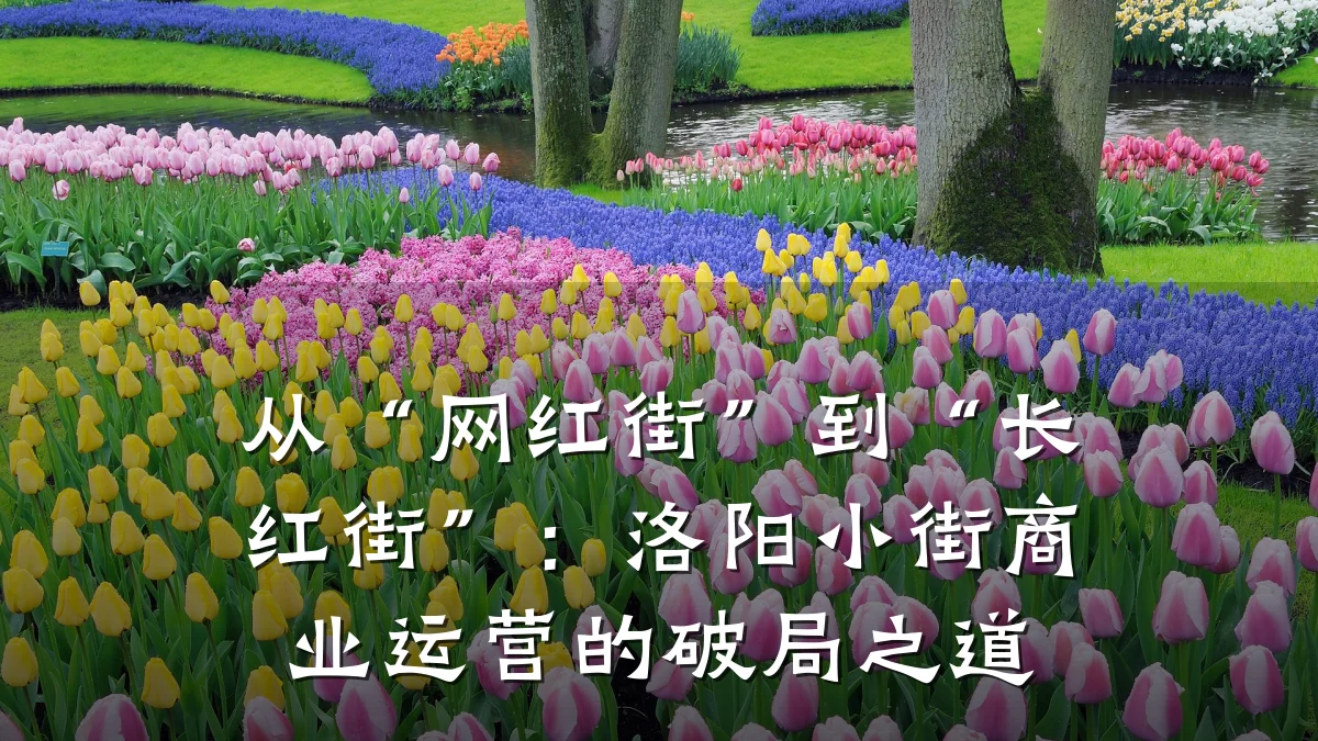 从“网红街”到“长红街”:洛阳小街商业运营的破局之道