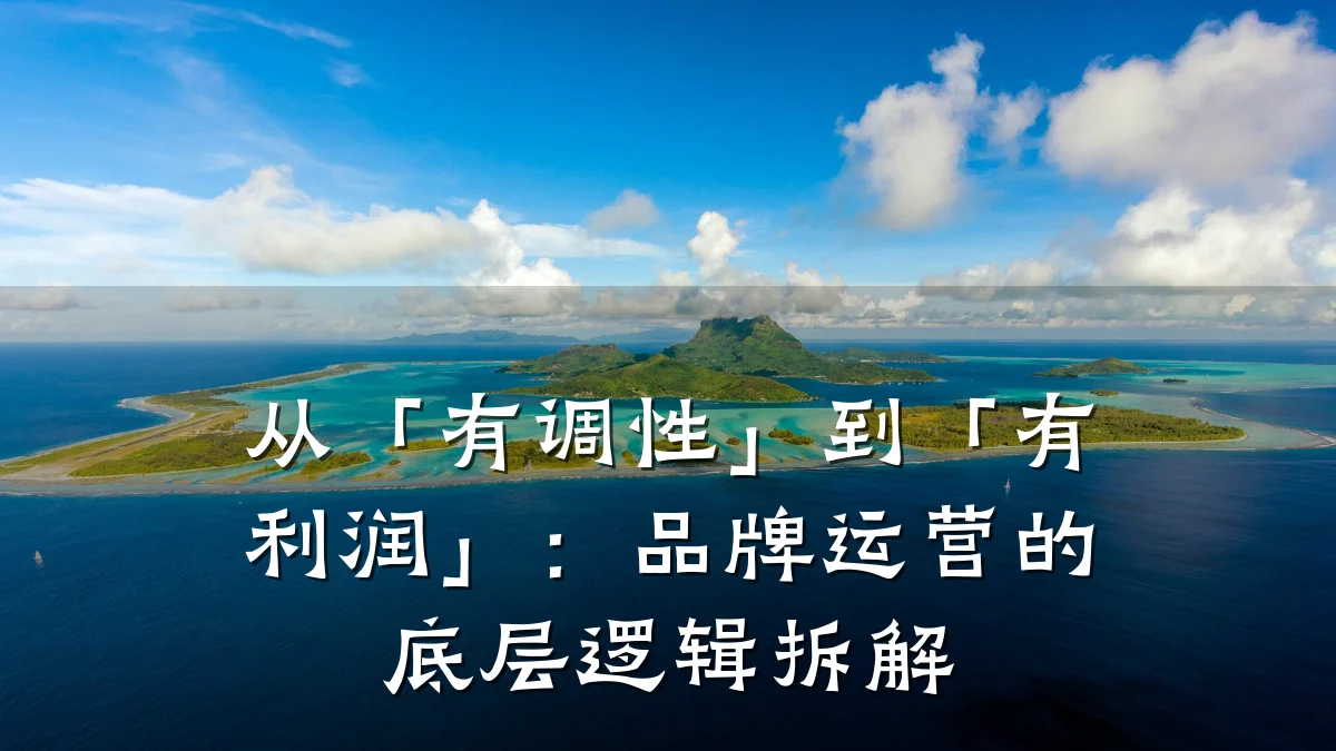 从「有调性」到「有利润」:品牌运营的底层逻辑拆解