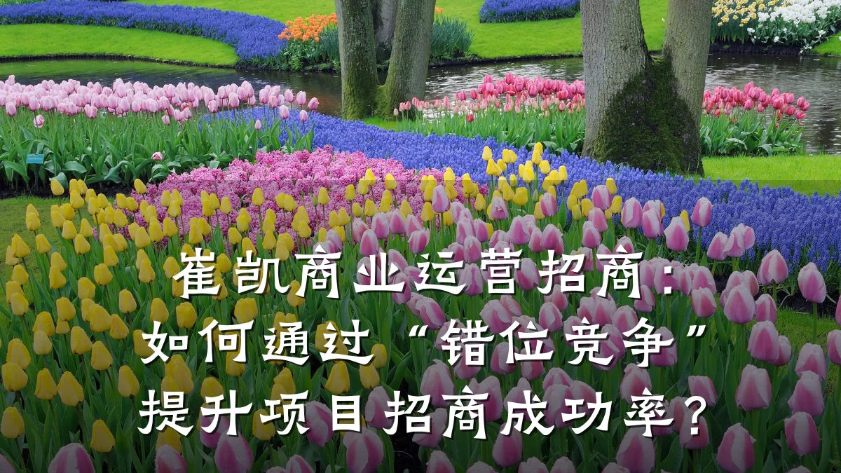 崔凯商业运营招商:如何通过“错位竞争”提升项目招商成功率?