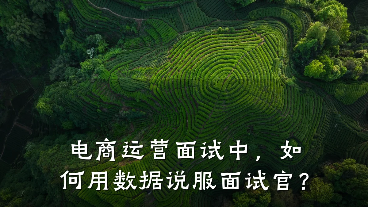 电商运营面试中,如何用数据说服面试官?