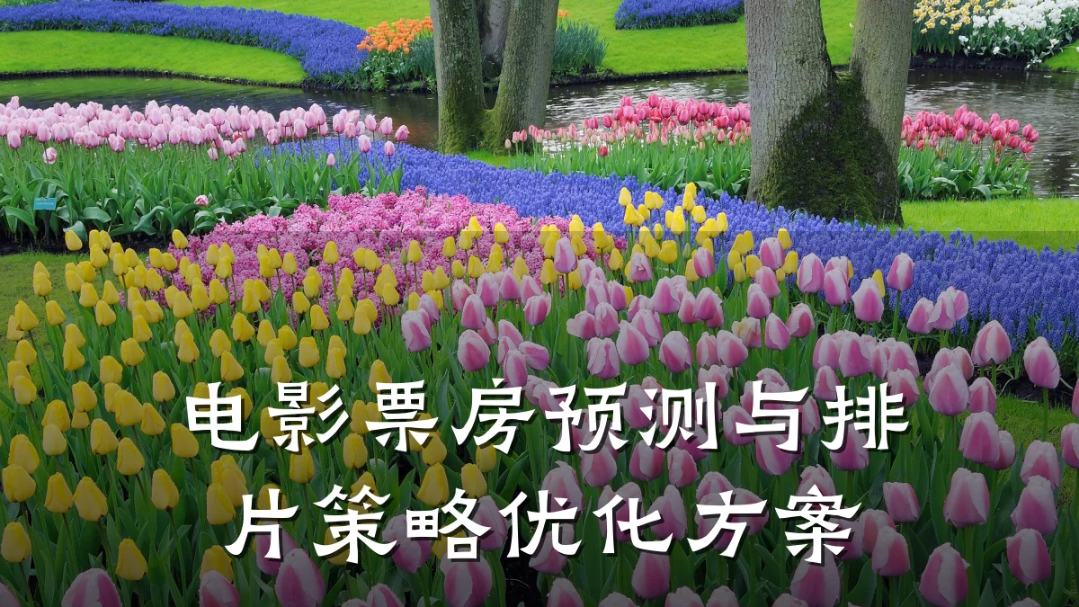 电影票房预测与排片策略优化方案