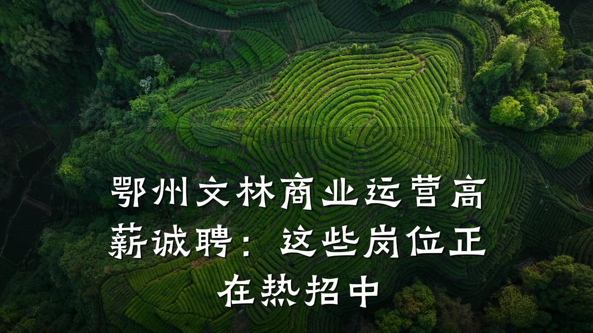 鄂州文林商业运营高薪诚聘:这些岗位正在热招中