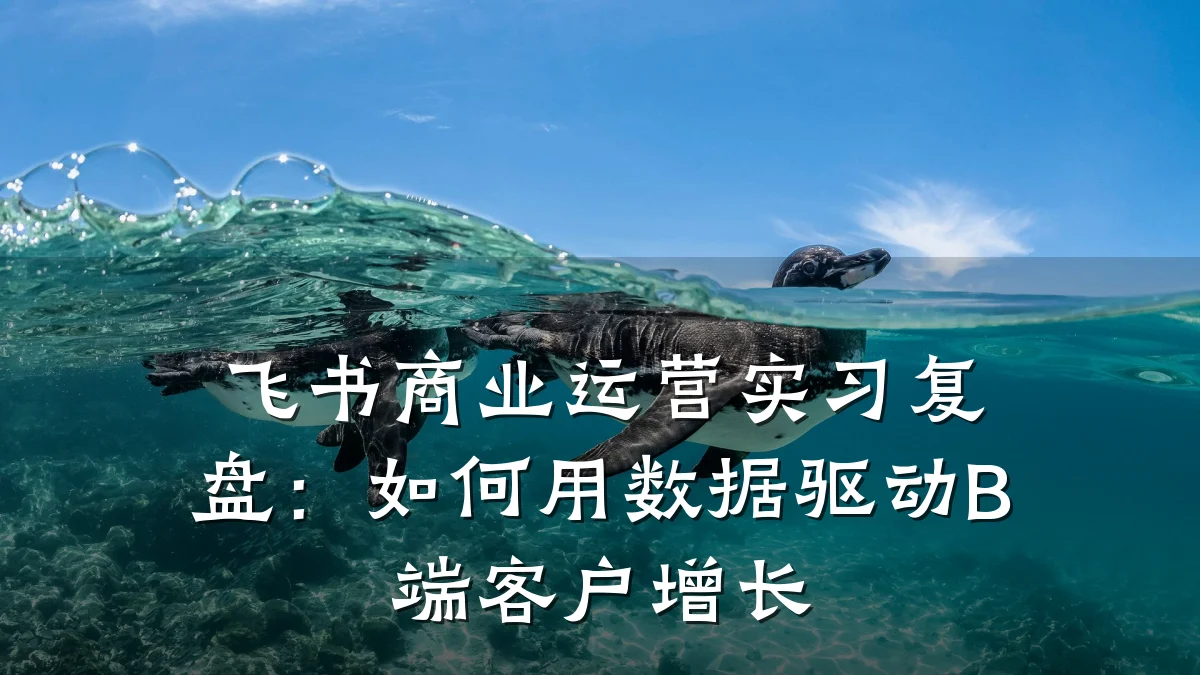 飞书商业运营实习复盘:如何用数据驱动B端客户增长