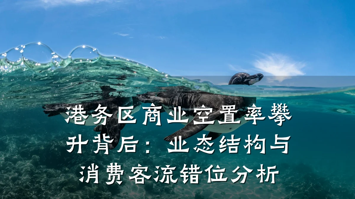 港务区商业空置率攀升背后:业态结构与消费客流错位分析