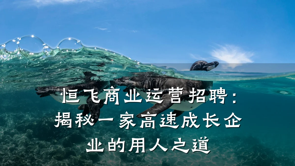 恒飞商业运营招聘:揭秘一家高速成长企业的用人之道