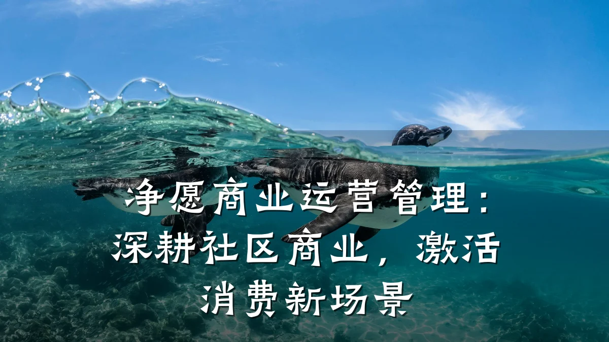净愿商业运营管理:深耕社区商业,激活消费新场景