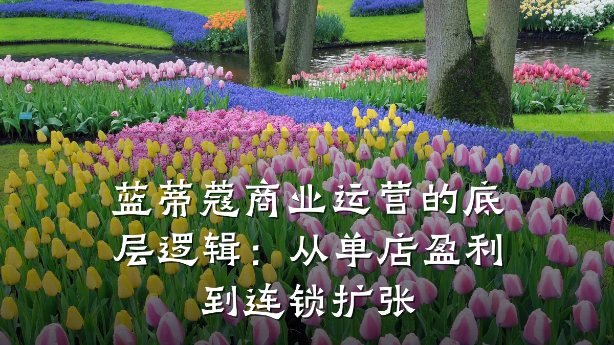 蓝蒂蔻商业运营的底层逻辑:从单店盈利到连锁扩张