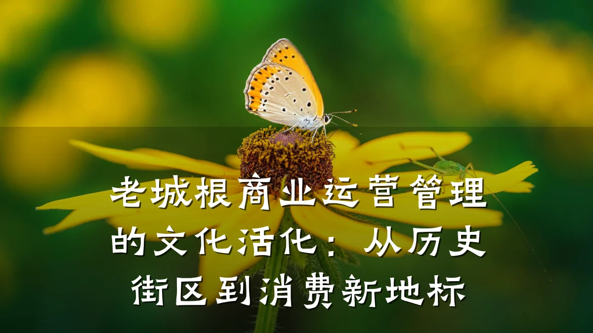 老城根商业运营管理的文化活化:从历史街区到消费新地标