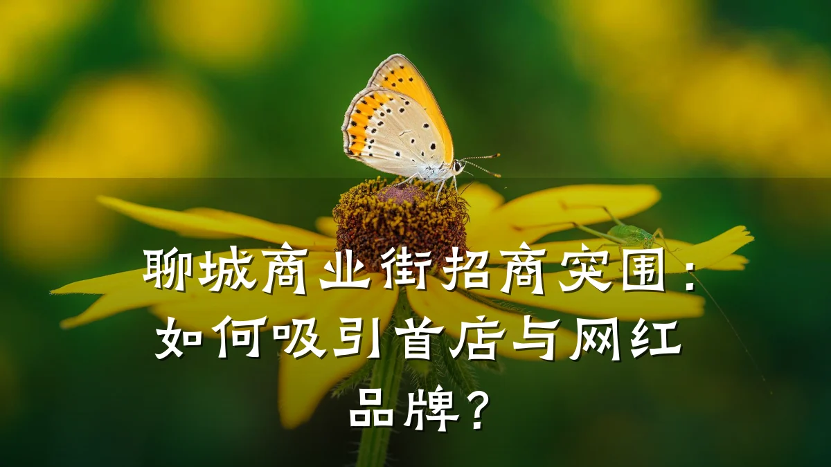 聊城商业街招商突围:如何吸引首店与网红品牌?