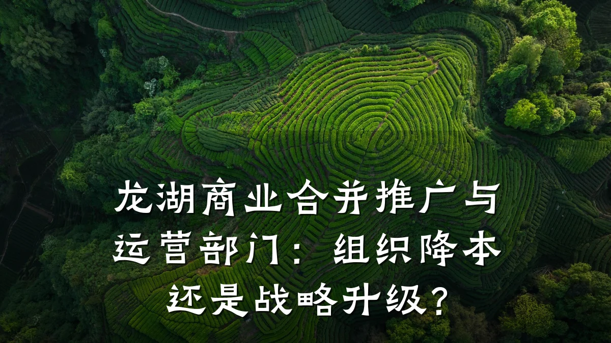 龙湖商业合并推广与运营部门:组织降本还是战略升级?