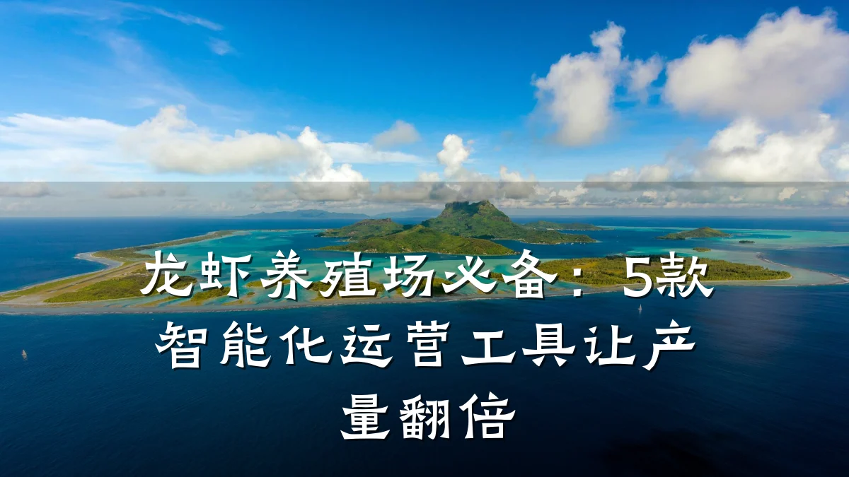 龙虾养殖场必备:5款智能化运营工具让产量翻倍
