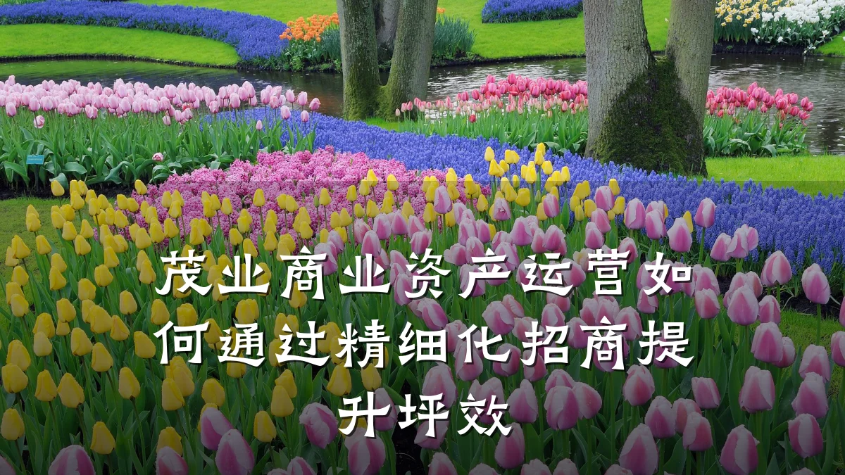 茂业商业资产运营如何通过精细化招商提升坪效