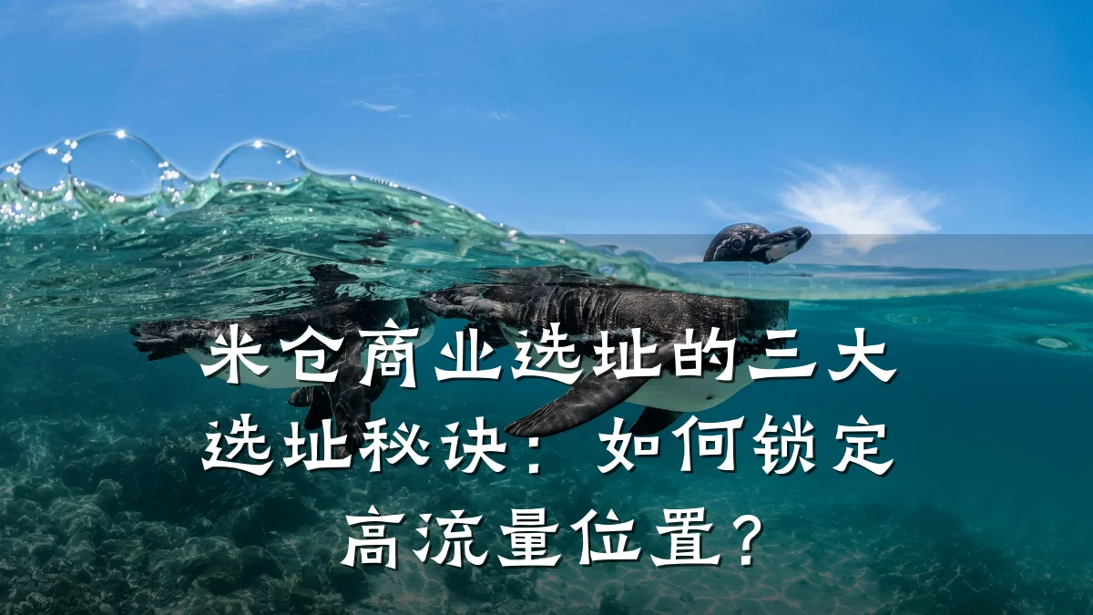 米仓商业选址的三大选址秘诀:如何锁定高流量位置?