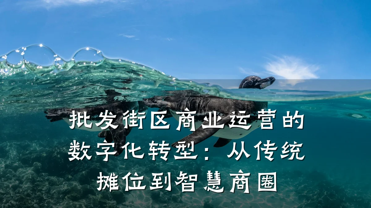 批发街区商业运营的数字化转型:从传统摊位到智慧商圈