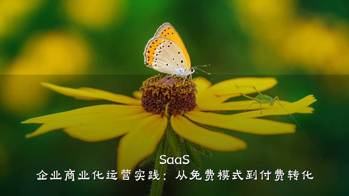 SaaS 企业商业化运营实践:从免费模式到付费转化