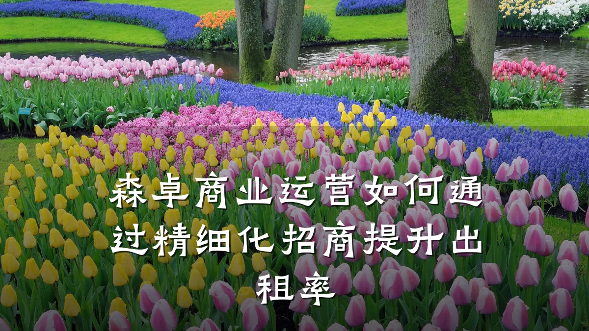 森卓商业运营如何通过精细化招商提升出租率