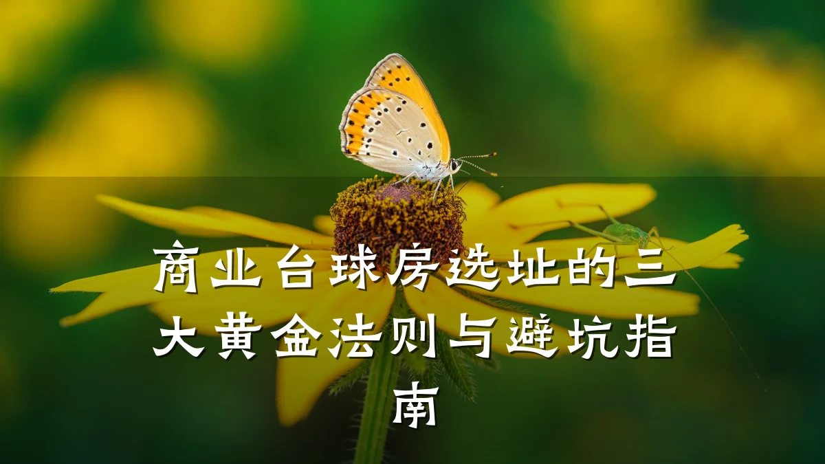 商业台球房选址的三大黄金法则与避坑指南