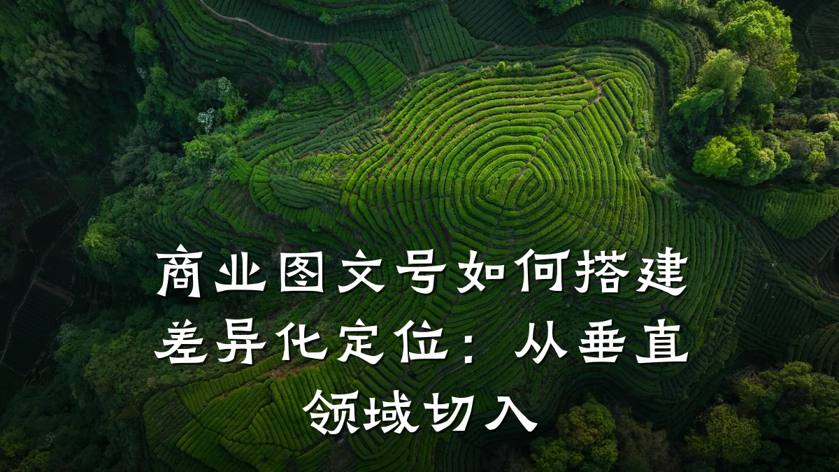 商业图文号如何搭建差异化定位:从垂直领域切入