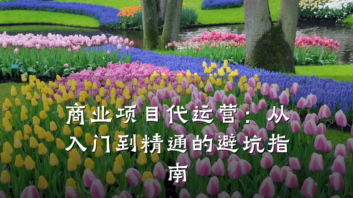 商业项目代运营:从入门到精通的避坑指南