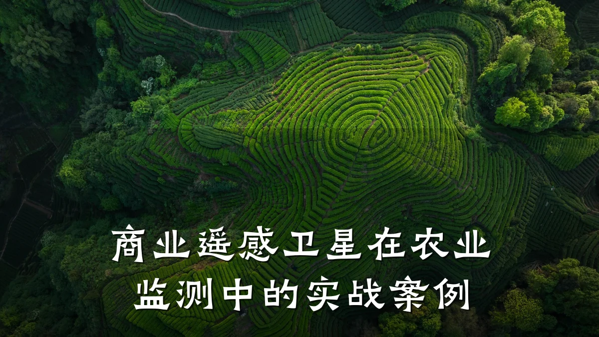 商业遥感卫星在农业监测中的实战案例