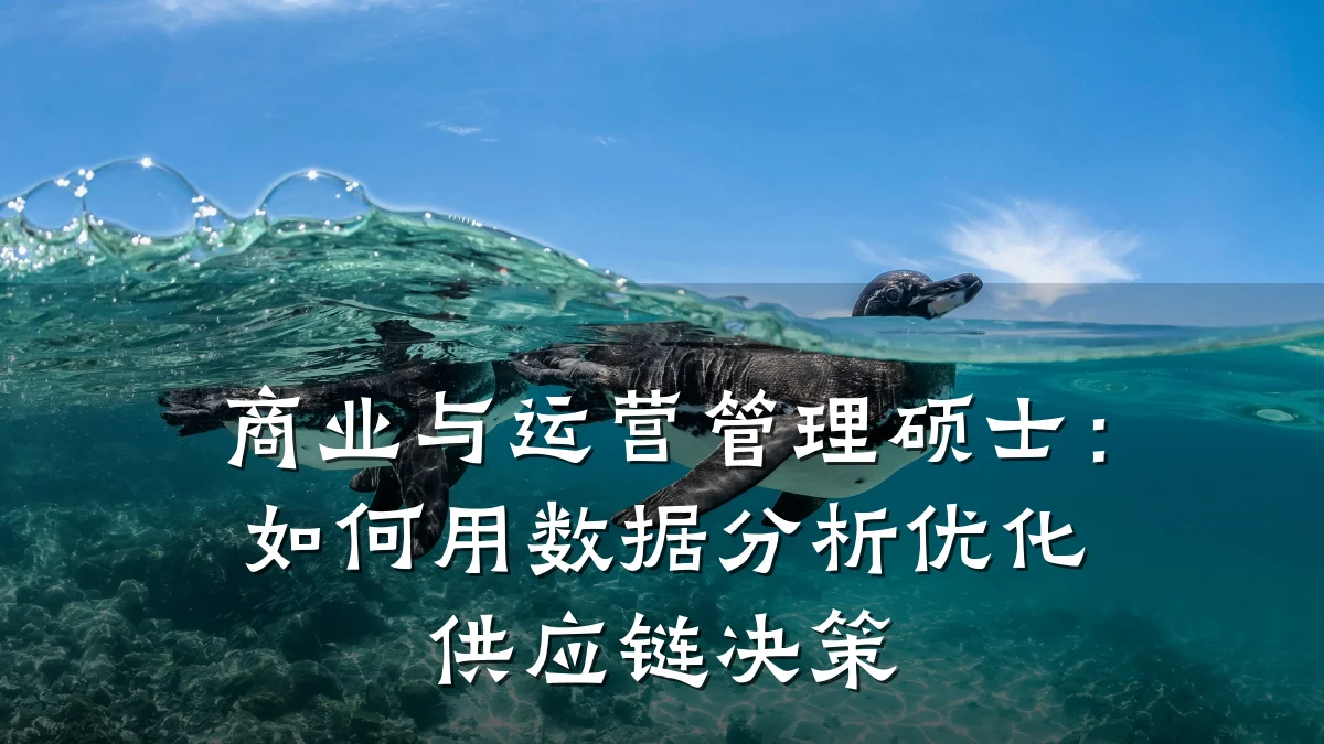 商业与运营管理硕士:如何用数据分析优化供应链决策