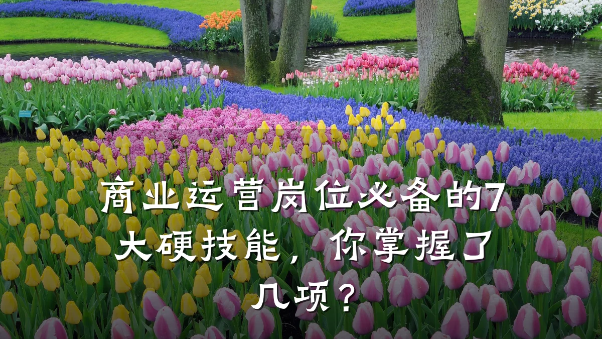 商业运营岗位必备的7大硬技能,你掌握了几项?