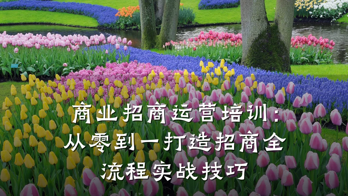 商业招商运营培训:从零到一打造招商全流程实战技巧