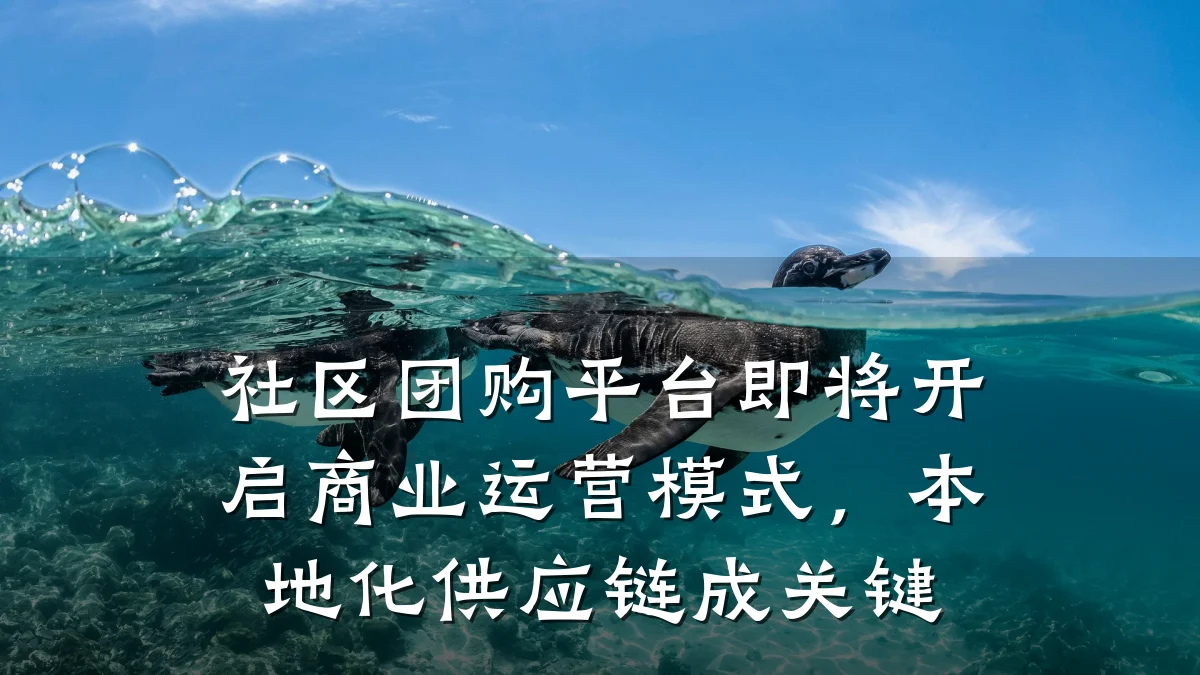 社区团购平台即将开启商业运营模式,本地化供应链成关键