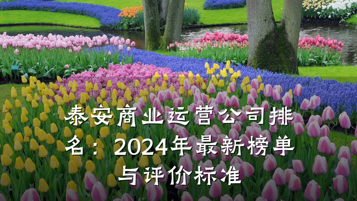 泰安商业运营公司排名:2024年最新榜单与评价标准