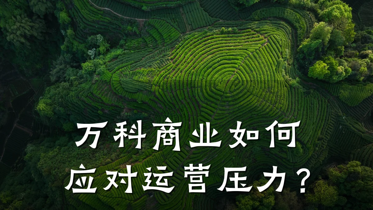 万科商业如何应对运营压力?